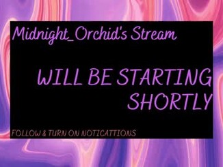 Midnight_orchid