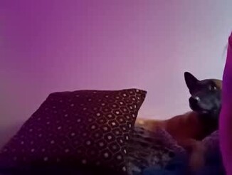 Meowzers777