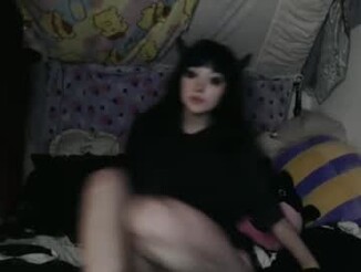 Lilyimp