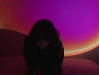 _curiouskitten_