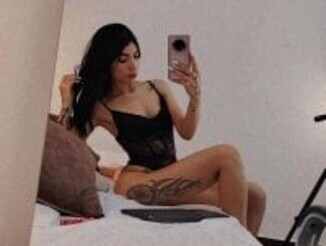 Dixie_grey1