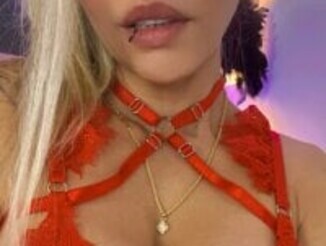 Blonde_cat15