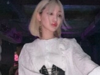 Gongjulee