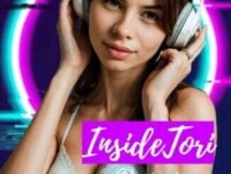 Inside_tori