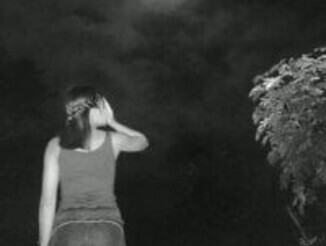 Darra_Park