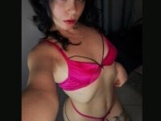 HoneyHaven_