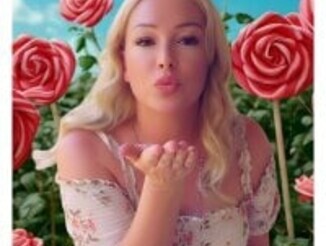 Sugarloveless