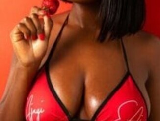 Red_butterfly2