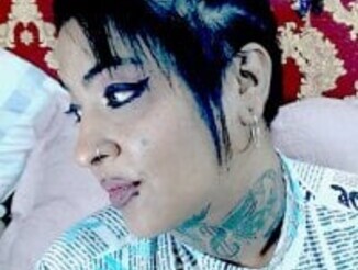Indiancatz2