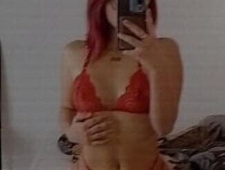 _Cherry_fox