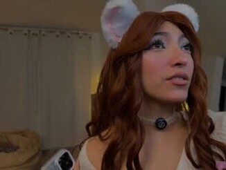 Cat_didy