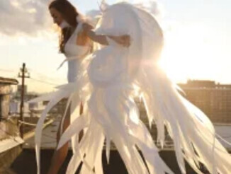 Angelicfenix