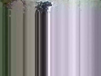 Hot_ellax