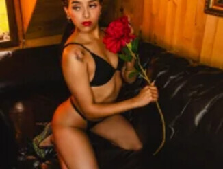 Foxy_hannah