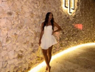 Danna_palmetth