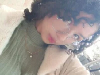 ShySheep_