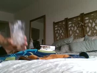 Bigjoed233