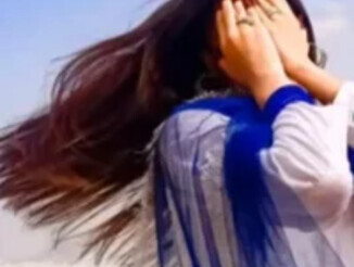 Zareen_approach