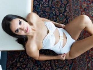 Stephanidurgante