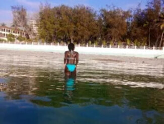 Fineafrican_melanin