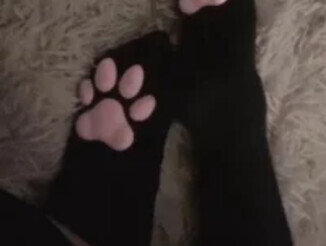 Puppygirl5
