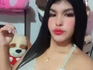 Skaylertfox