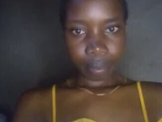 Prickly_ebony