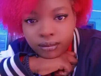 Vivivixen
