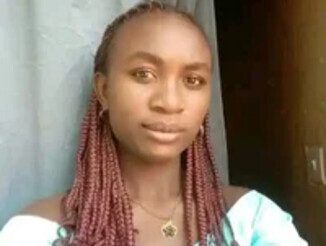 Queen_stallion