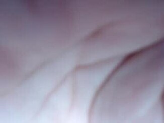 Kimy_1