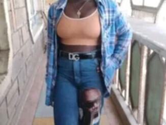 Ameliarembo