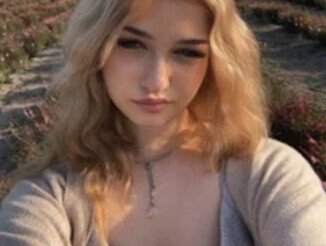 CloudyFoxy