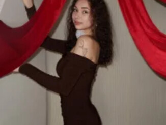 Elisskriter