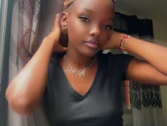 Prettyler