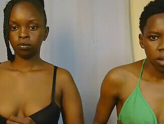 Wild_ebony2