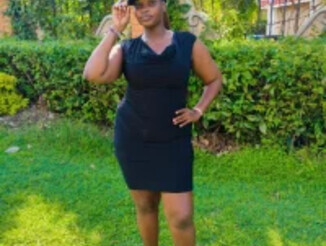 Shazbaibe