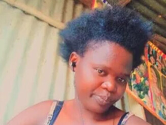 Ebonypetitie