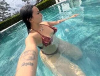 Holly_rosee