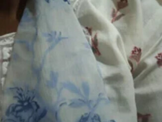 Ms_zini
